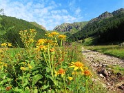 05 All'inizio dei pascoli della Val d'Inferno